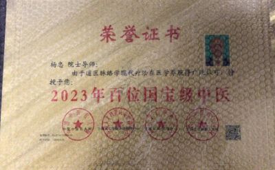 国医百科官网特别报道  中华道医脉络学现代疗法传承人——杨忠